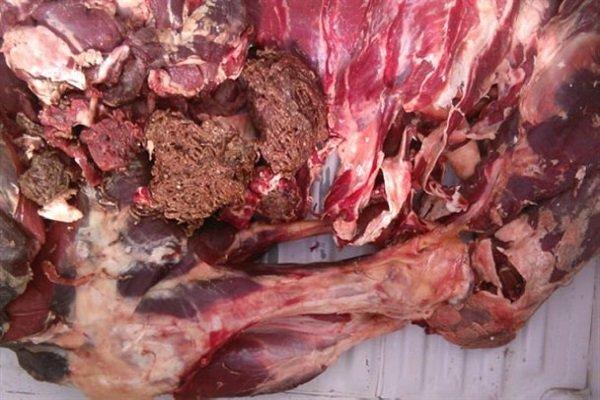 50 تن گوشت منجمد در آذربایجان غربی توزیع می گردد