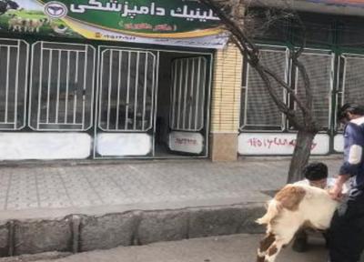 شروع به کار اولین کلنیک دامپزشکی بخش خصوصی در شهر خضری