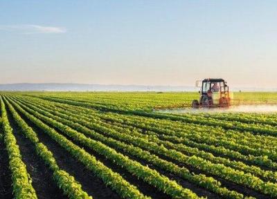 قانون اصلاح قانون تضمین خرید محصولات اساسی کشاورزی ابلاغ شد