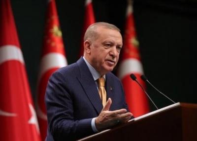 اردوغان: جنگ قره باغ و پاندمی اتحاد جامعه ترک تبار را نشان داد