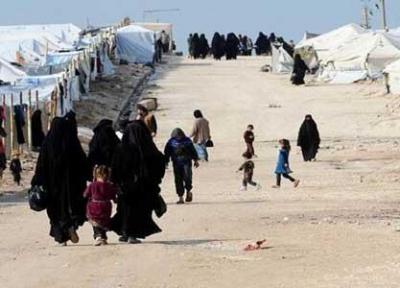 انتقال خانواده های تروریست ها به خاک عراق اقدامی تحریک آمیز است