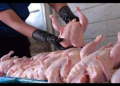 تامین گوشت مرغ مورد نیاز استان در ماه آینده