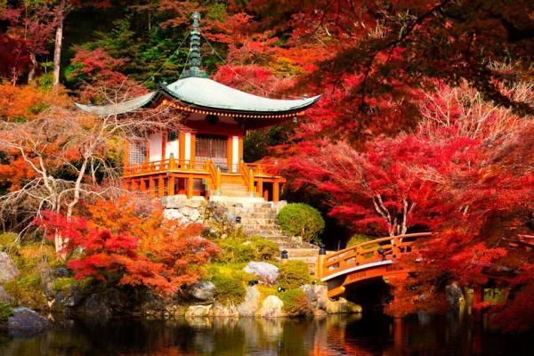 زیباترین منطقه ها جهان برای تماشا برگ های پاییزی