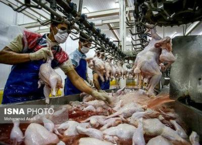 تعطیلی کشتارگاه های طیور، علت کمبود مرغ در خوزستان