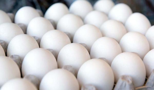کاهش شدید مصرف تخم مرغ؛ مردم توان خرید ندارند