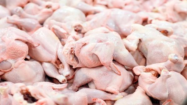 سازمان دامپزشکی: واردات گوشت مرغ آلوده به کشور کذب است