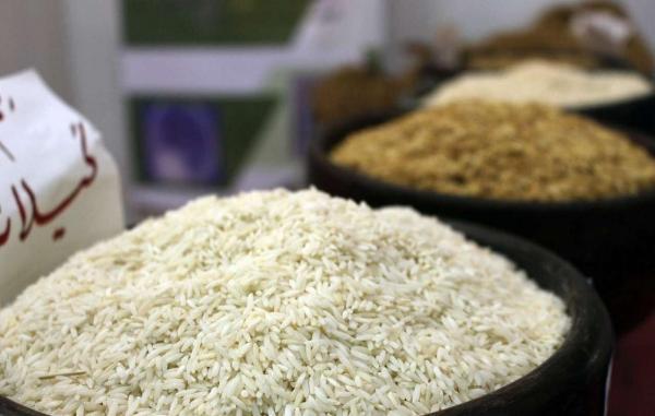 جزییات عرضه مقرون به صرفه برنج ایرانی، کاهش 20 تا 30درصدی قیمت با طرح نو