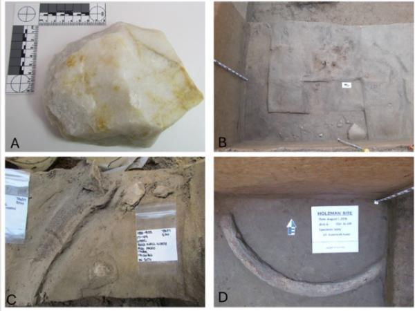 کشف ابزارهای عاج ماموت در آلاسکا، آیا زمان ورود انسان به آمریکای شمالی قدیمی تر از چیزی است که فکر می کردیم؟