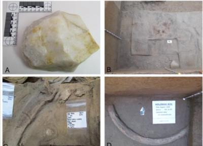 کشف ابزارهای عاج ماموت در آلاسکا، آیا زمان ورود انسان به آمریکای شمالی قدیمی تر از چیزی است که فکر می کردیم؟